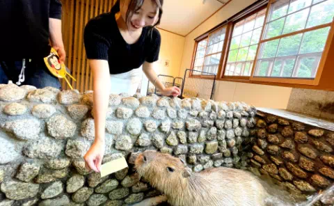 「かぴ湯」おさ湯の仲間たちとのふれあい