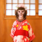 おさるのさくら-草津温泉おさ湯の仲間たち